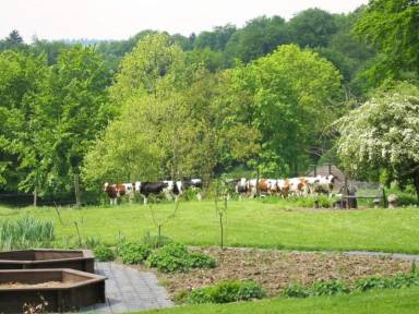 Appartement  Monschau