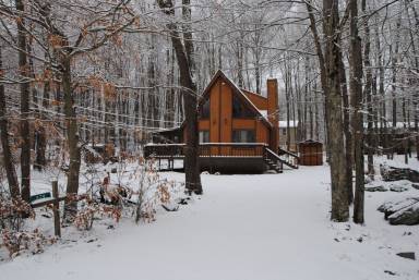 Cabin  Thornhurst Township