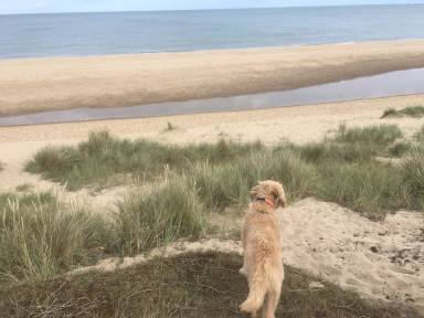 House Hemsby