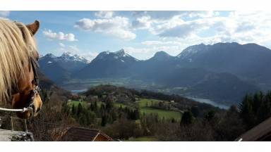 Cottage Lake Annecy