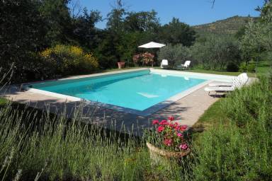 Cottage  Castiglion fiorentino