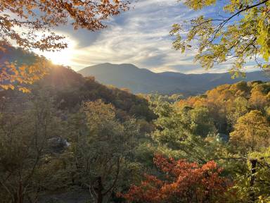 Cabin  Waynesville