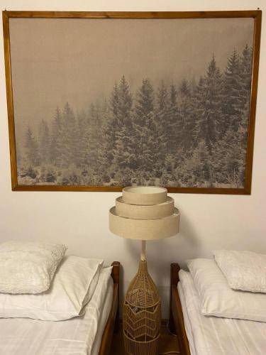 Apartament Krościenko nad Dunajcem