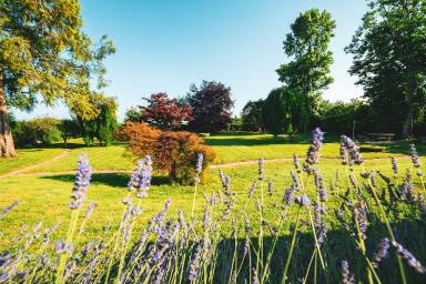 Bed & Breakfast Fossano