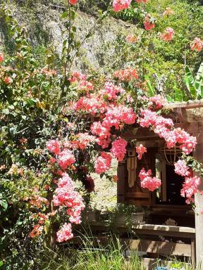House  Les Abymes