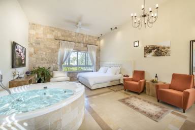 Villa Rosh Pinna