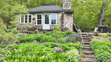 Cottage Lion's Head
