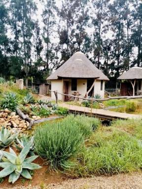 Accommodation  Addo