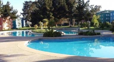 Apartment  Algarrobo