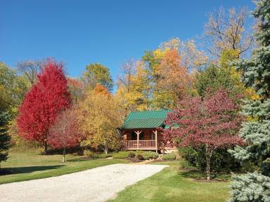 Cabin Colfax