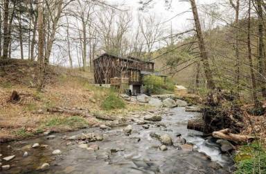 Cabin Neversink