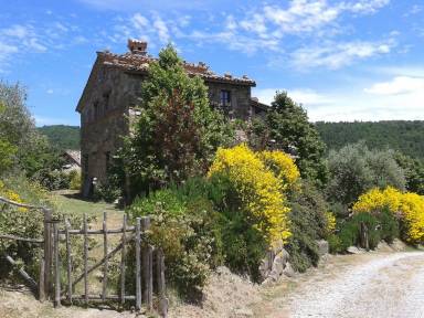 Cottage  Greppolischieto