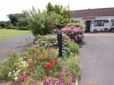 Cottage Exmouth