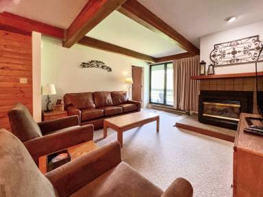 Condo Crested Butte