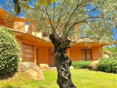 Hus  Porto-Vecchio